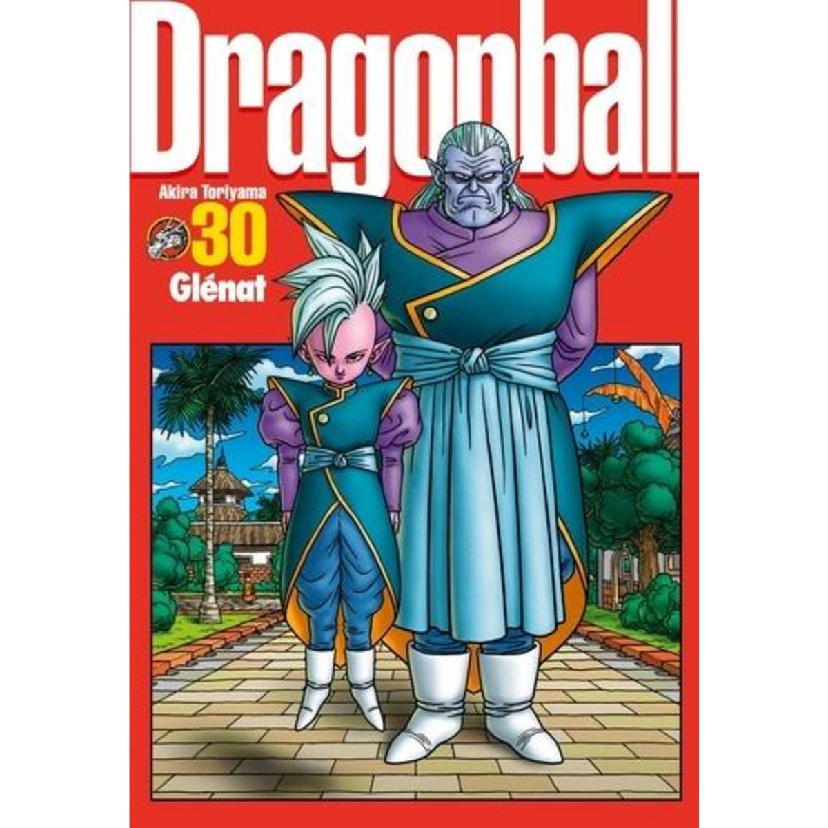 DRAGON BALL PERFECT EDITION TOME 30, Toriyama Akira