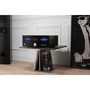 Voir la diapositive 4 : ADVANCE PARIS Amplificateur HiFi A 10