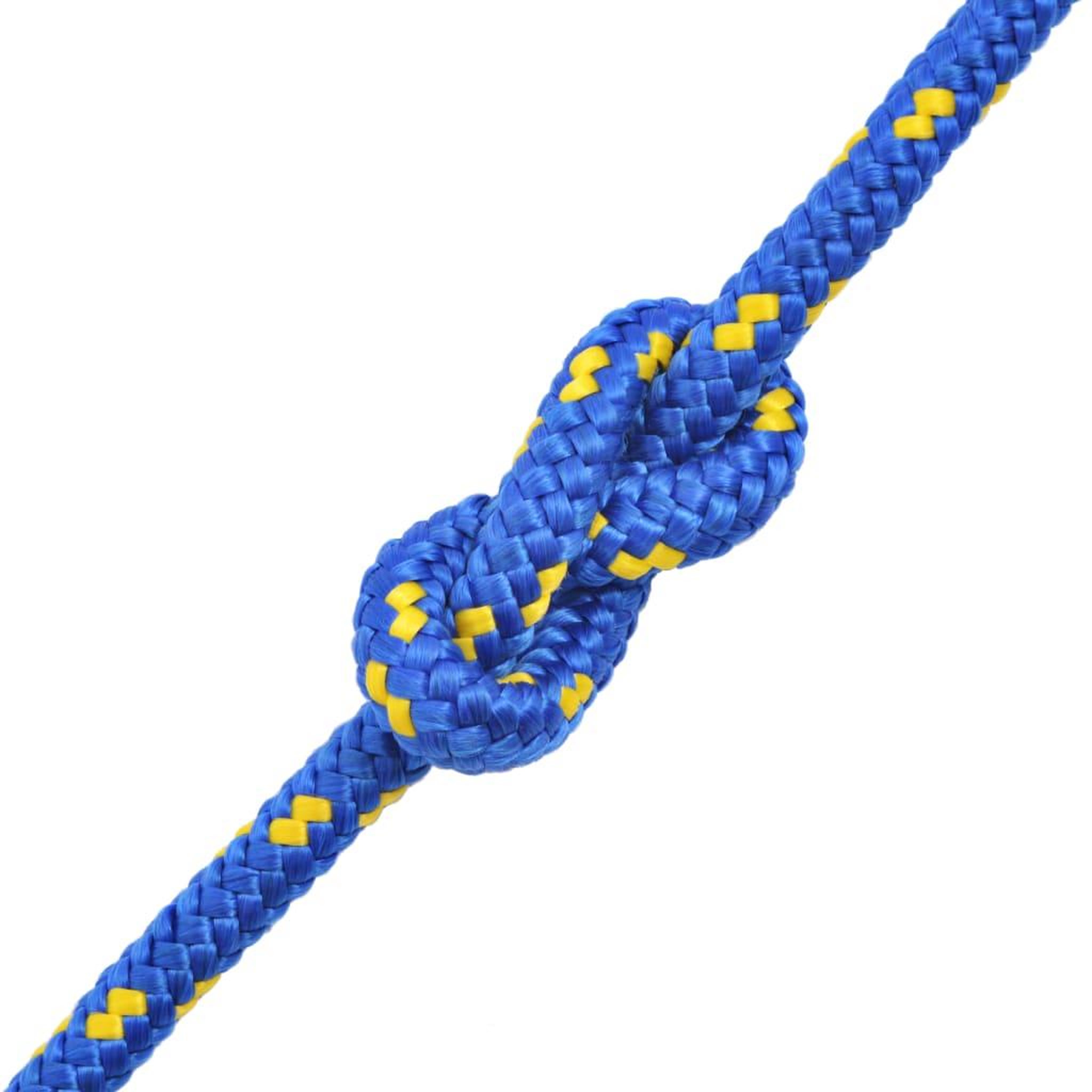 Voir la diapositive 2 : VIDAXL Corde de bateau Polypropylene 8 mm 100 m Bleu