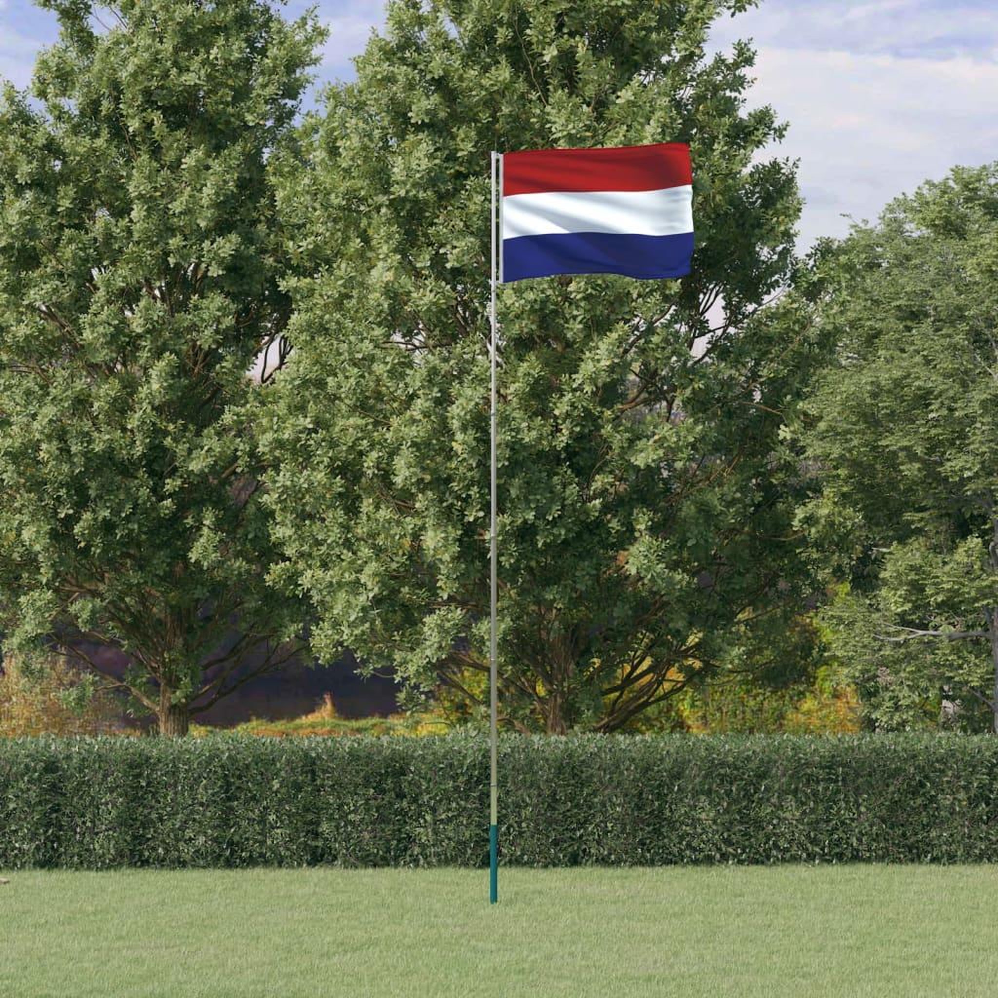 VIDAXL Drapeau des Pays-Bas et mat 5,55 m Aluminium