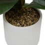 Voir la diapositive 3 : ATMOSPHERA Ficus Artificiel en Pot  Sky  145cm Vert