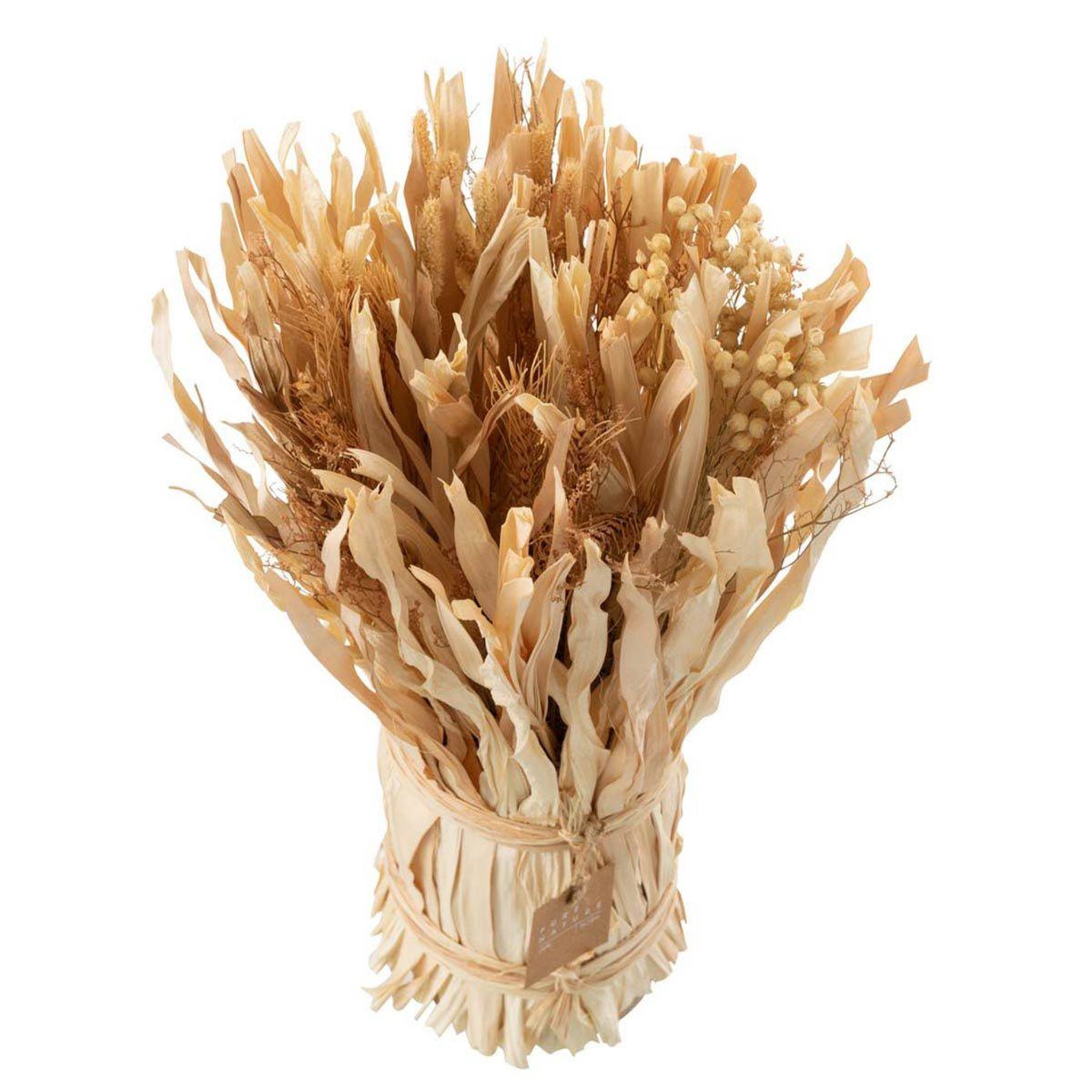 Voir la diapositive 2 : J-LINE Bouquet de fleurs séchées  soul  40cm naturel