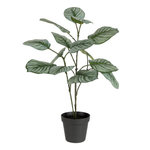 Paris Prix Plante Artificielle en Pot  Calathee  56cm Vert