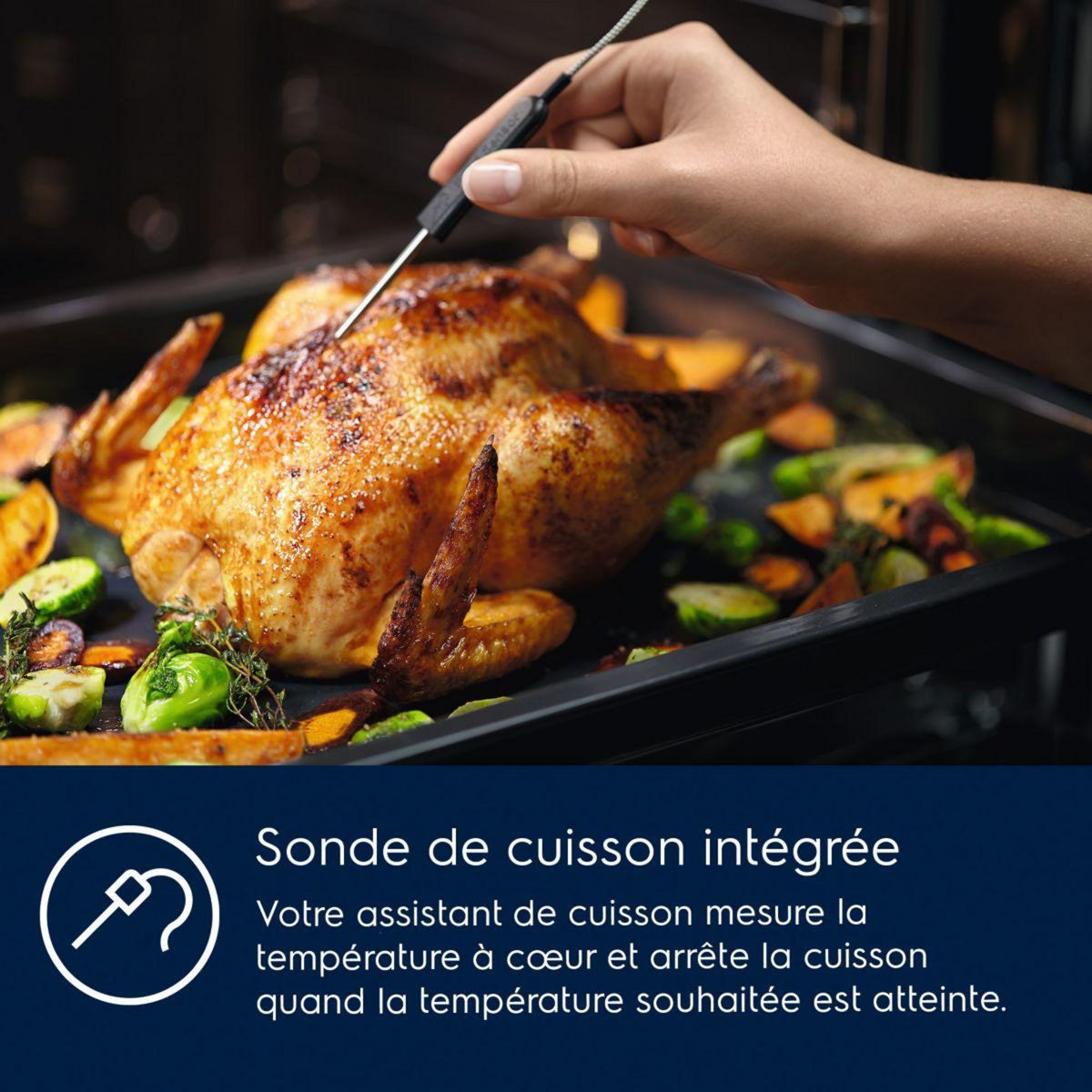 ELECTROLUX Four Pyro EOD6P67WH SteamBake