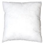 Paris Prix Coussin de Garnissage  Compressé  40x40cm Blanc