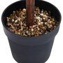 Voir la diapositive 4 : VIDAXL Plante de buis artificiel avec pot Forme de boule Vert 50 cm
