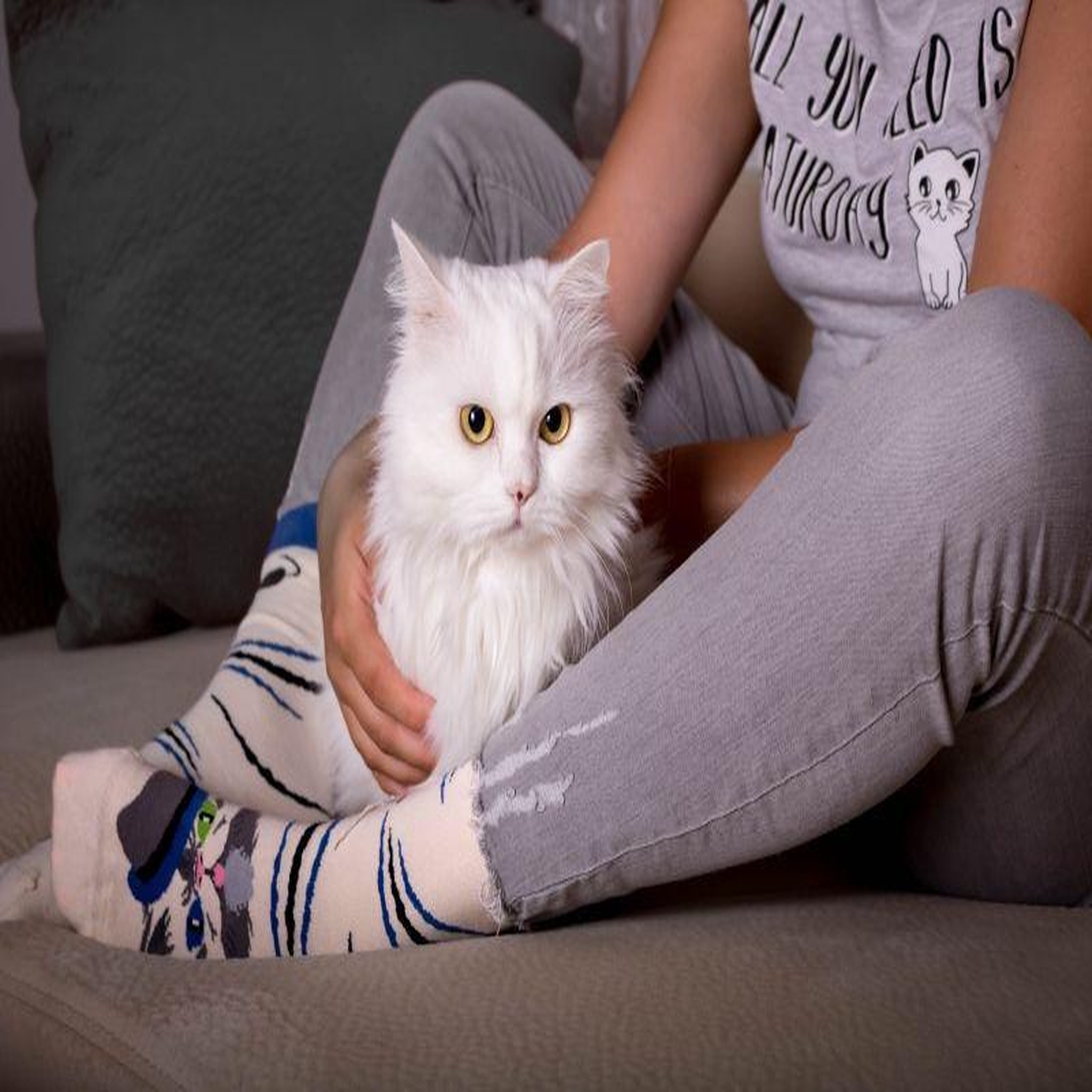 Voir la diapositive 4 : PIRIN HILL Chaussettes arty persan le chat