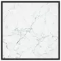 VIDAXL Table basse Noir avec verre marbre blanc 80x80x35 cm