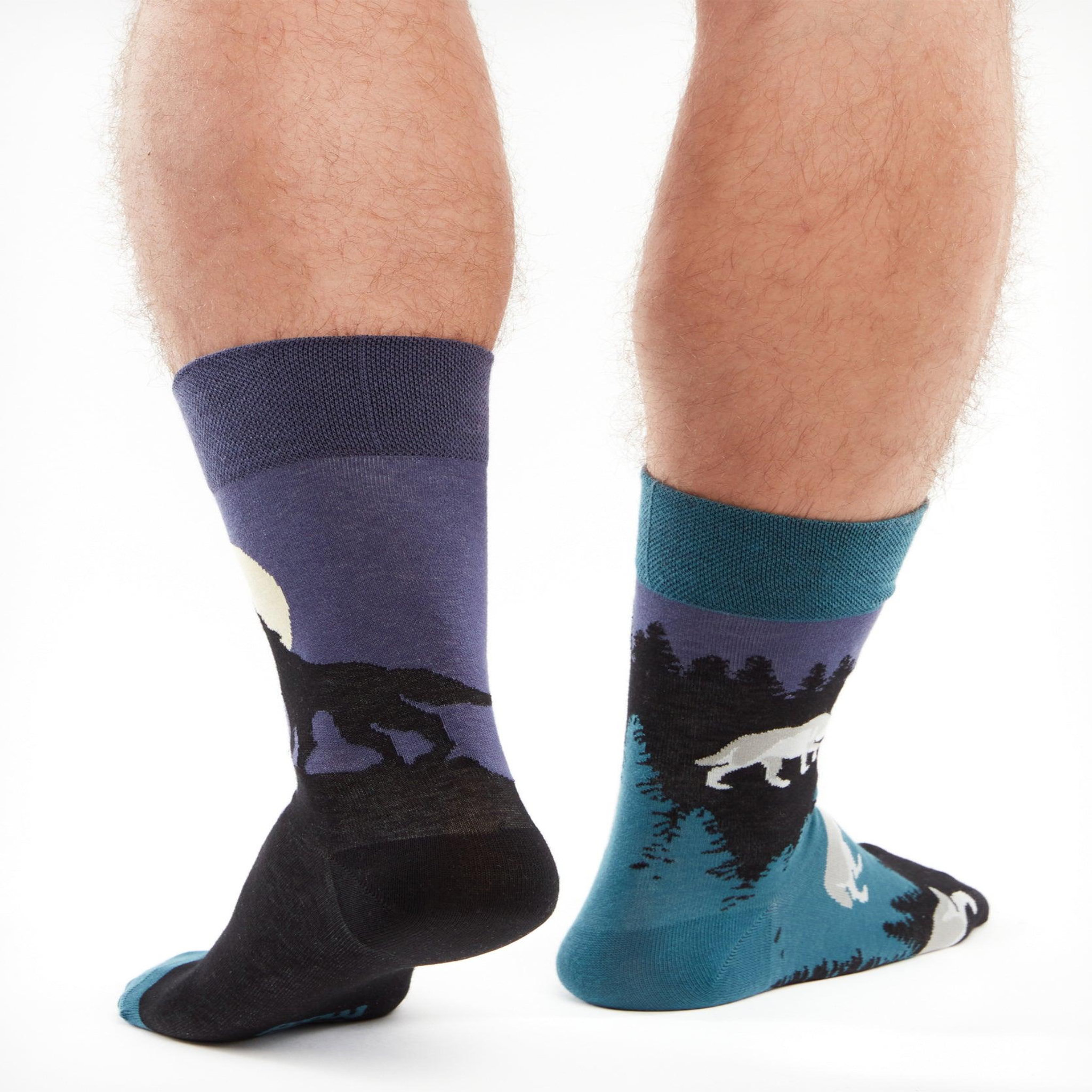 Voir la diapositive 3 : DEDOLES Chaussettes loup à la lune