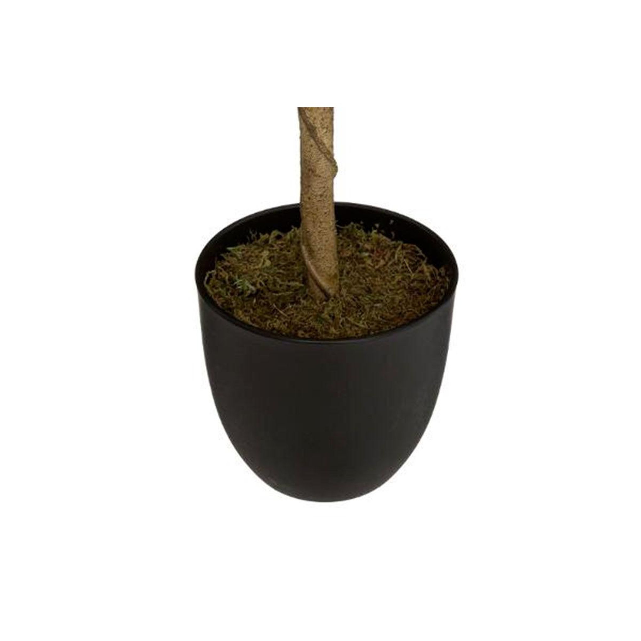 Voir la diapositive 3 : ATMOSPHERA Plante artificielle  citronnier  73cm multicolore
