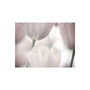 Voir la diapositive 2 : Paris Prix Papier Peint  Tulips Fine Art Black & White
