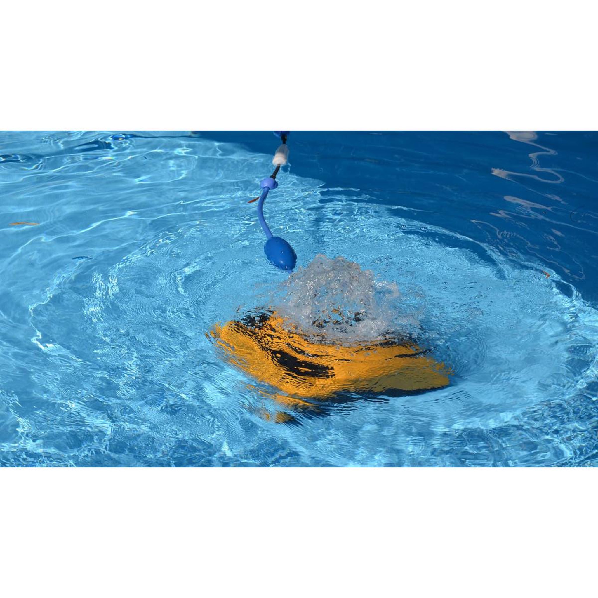 Voir la diapositive 5 : Dolphin Robot electrique de piscine professionnel 15m - WAVE 20
