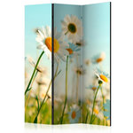 Paris Prix Paravent 3 Volets  Daisies Spring Meadow II  135x172cm