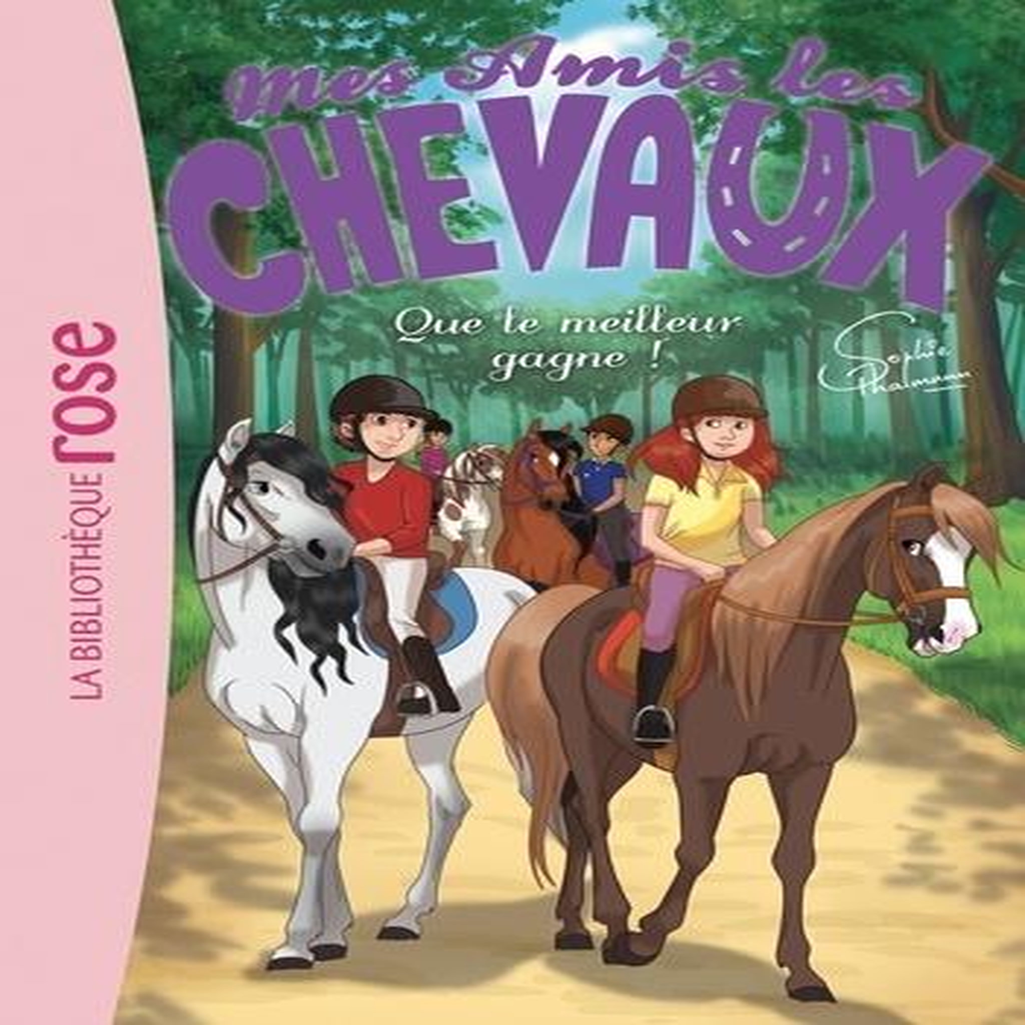 MES AMIS LES CHEVAUX TOME 24 , Thalmann Sophie
