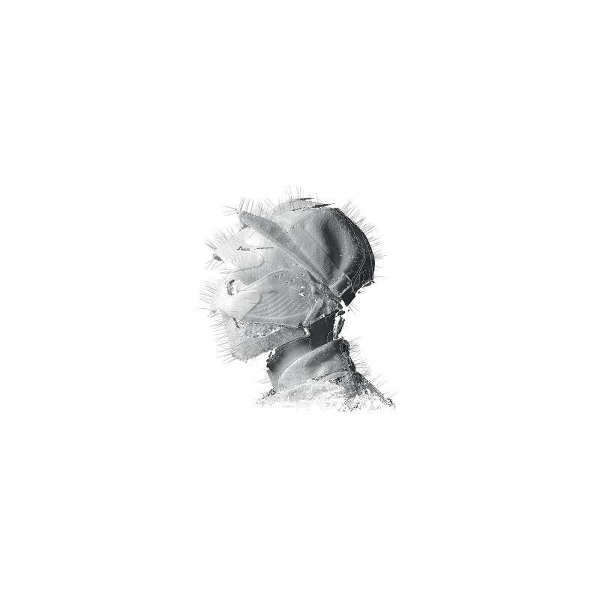 Woodkid – the golden age (édition vinyle double gatefold, 2 lp)