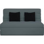 Voir la diapositive 1 : DUNLOPILLO DUNLOPILLO Banquette BZ 2 places - Gris - ReVEUR
