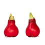 Voir la diapositive 1 : PLANT IN A BOX Amaryllis - Hippeastrum 'Wax Red' - Bulbe de fleur - Rouge
