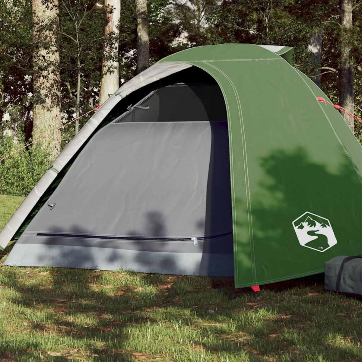 VIDAXL Tente de camping a dome 4 personnes vert impermeable