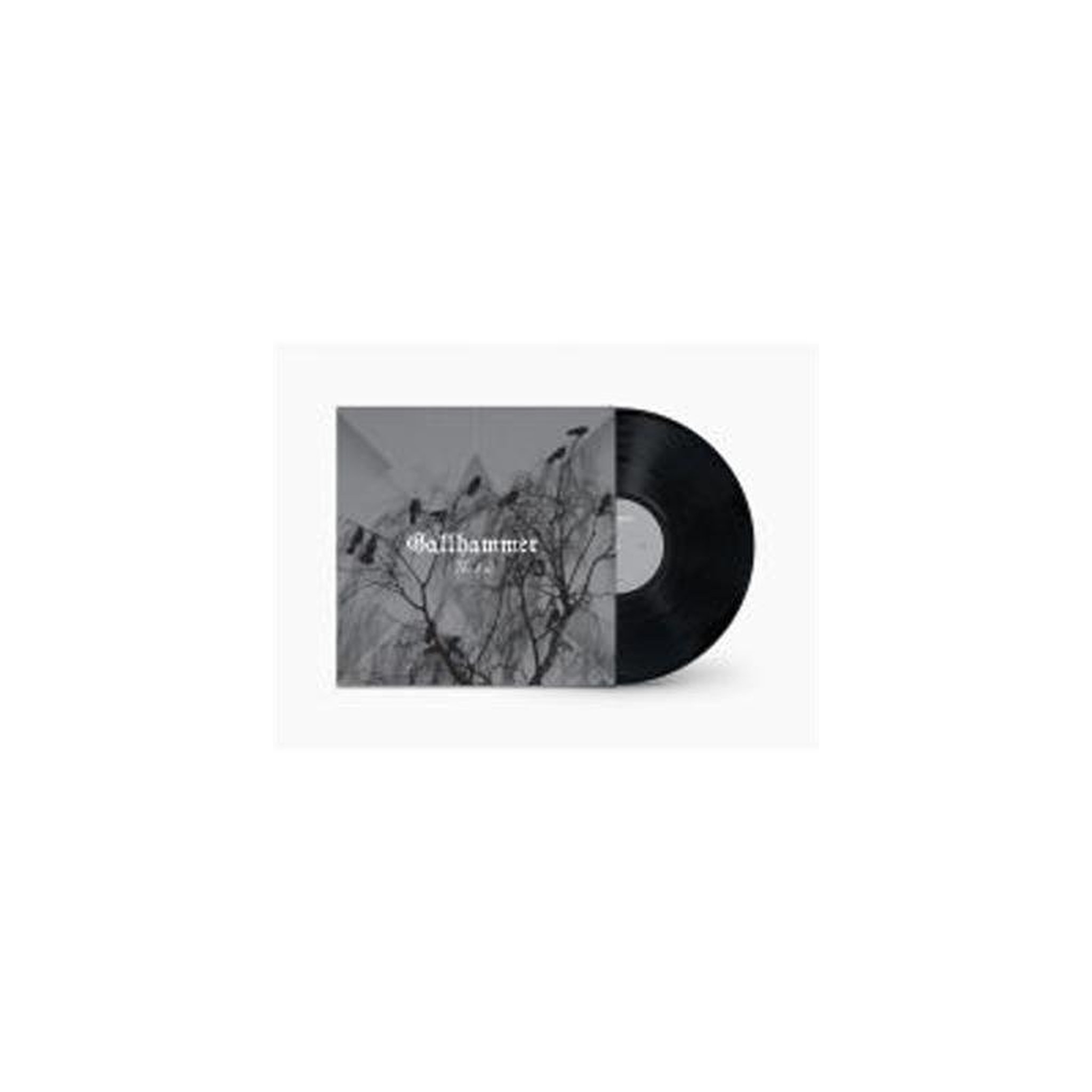Vinyle single noir the end avec pochette gris/noir