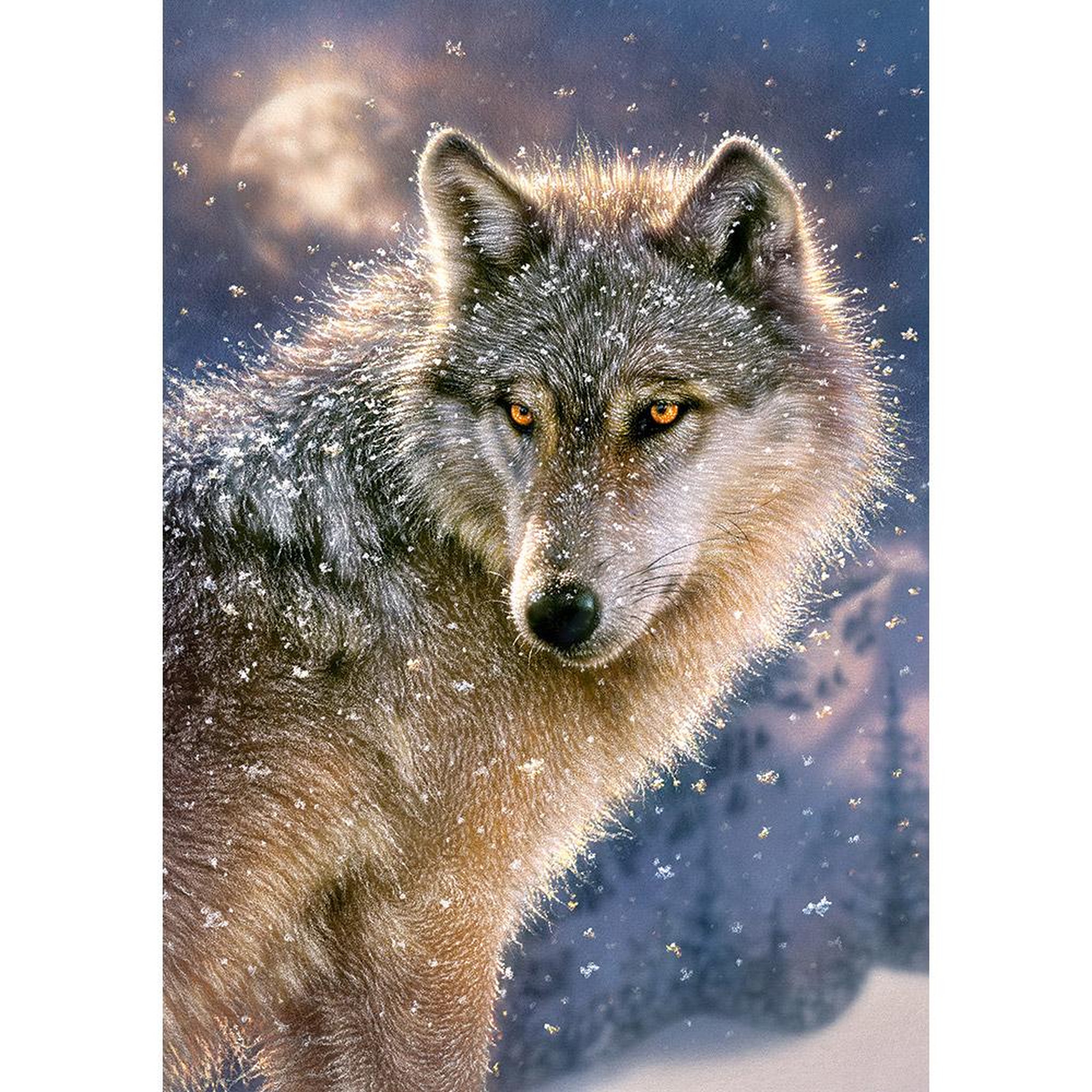 Castorland Puzzle 500 pièces : loup solitaire