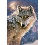 Castorland Puzzle 500 pièces : Loup solitaire