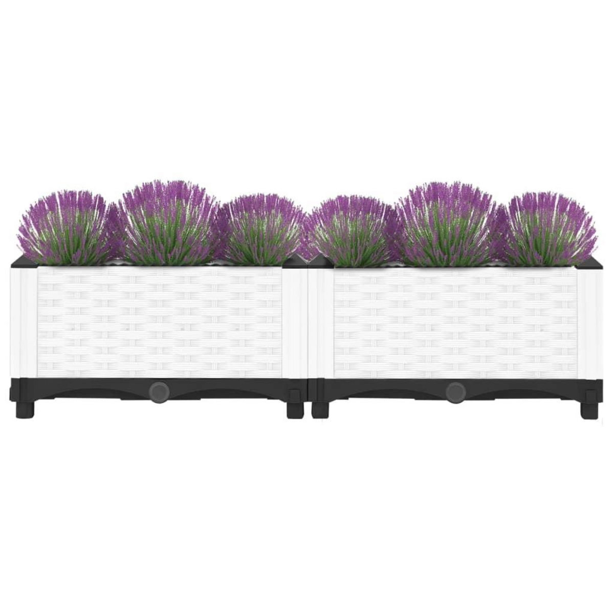 VIDAXL Lit sureleve 80x40x23 cm Polypropylene