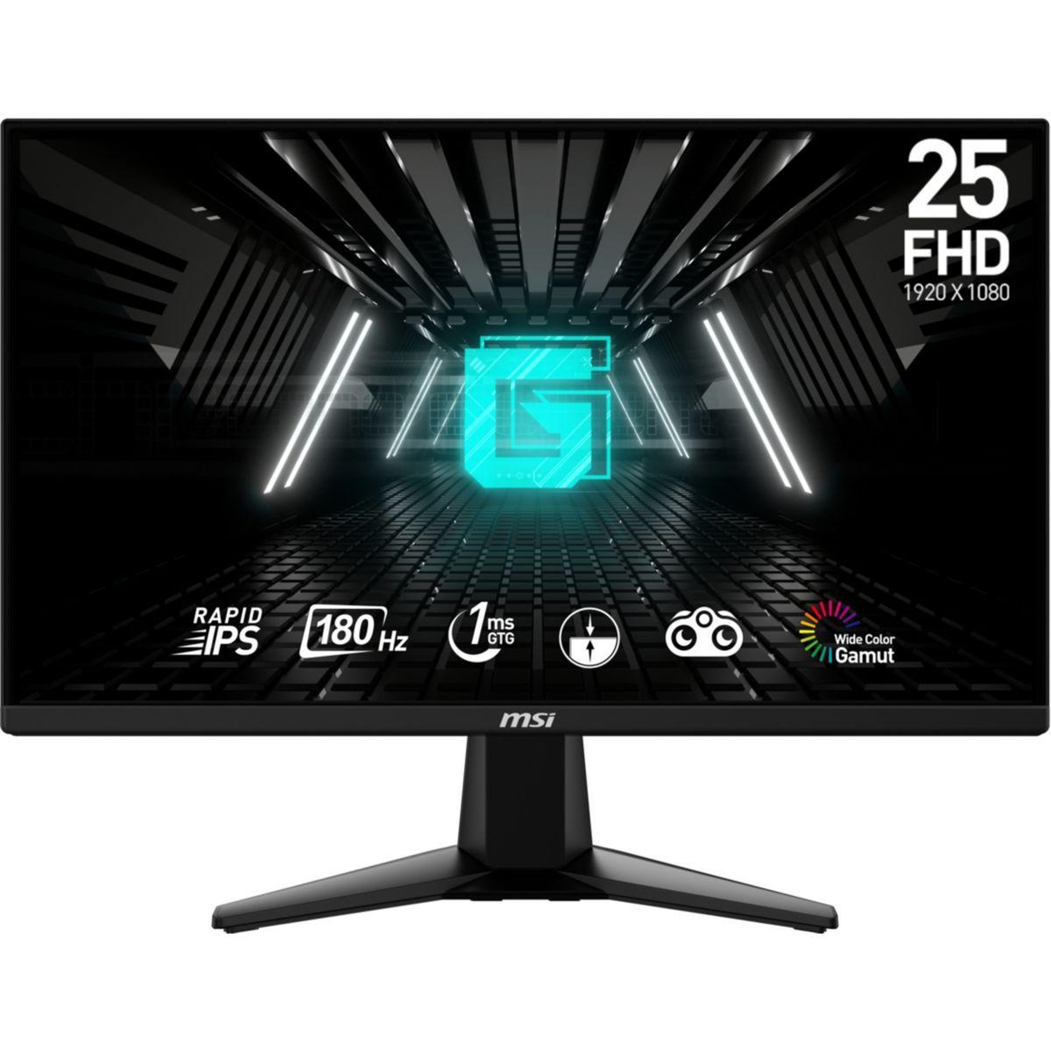 MSI Ecran PC Gamer G255F Plat 25