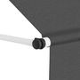 Voir la diapositive 2 : VIDAXL Auvent manuel retractable 400 cm Anthracite