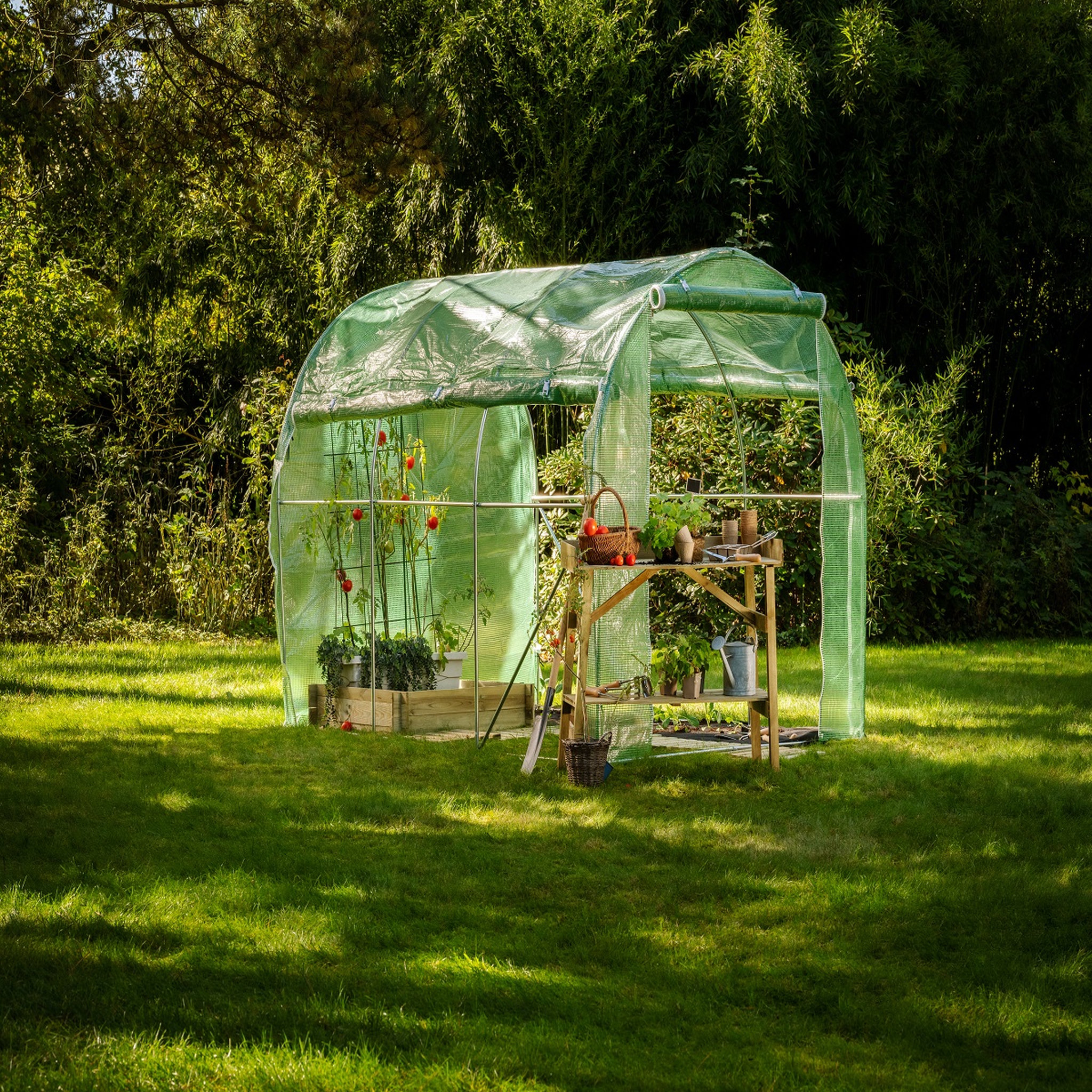 GARDENSTAR Serre tunnel 4 saisons - Vert - 6m²