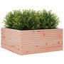 Voir la diapositive 4 : VIDAXL Jardiniere 100x100x46 cm bois massif de douglas