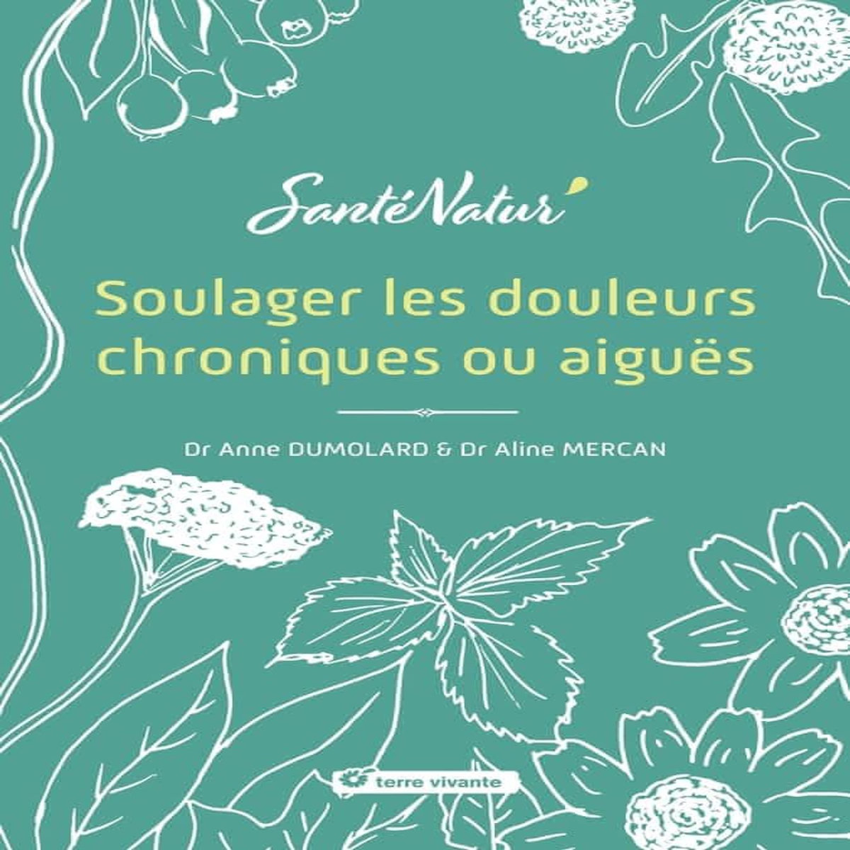 SOULAGER LES DOULEURS CHRONIQUES OU AIGUES, Mercan Aline