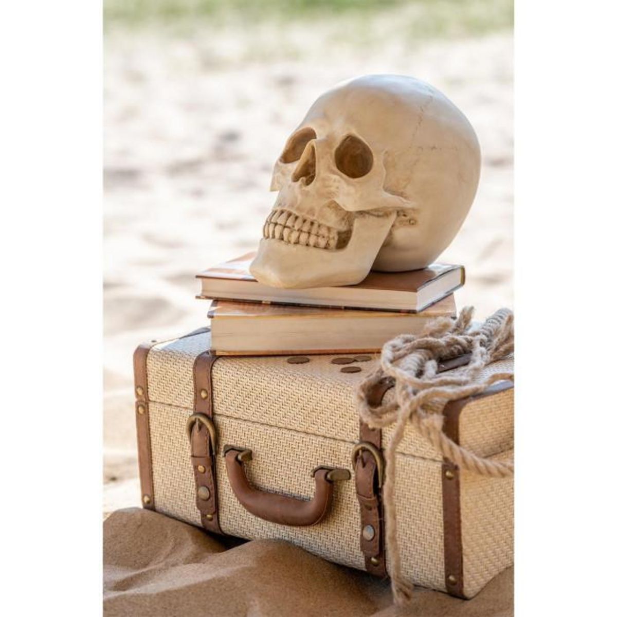 Paris Prix Statuette Déco  Crâne  21cm Naturel