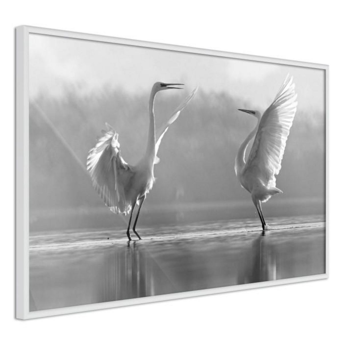 Paris Prix Affiche Murale Encadrée  Black and White Herons