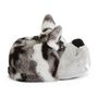 Voir la diapositive 2 : IN EXTENSO Chaussons chien garçon