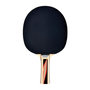 Voir la diapositive 2 : SCHILDKROT Raquette de tennis de table - SCHILDKRÖT - TOP TEAMS 600 AVS,manche