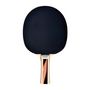Voir la diapositive 2 : SCHILDKROT Raquette de tennis de table - SCHILDKRÖT - TOP TEAMS 600 AVS,manche