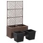 Voir la diapositive 4 : VIDAXL Lit sureleve treillis 2 pots 58x30x107cm Resine tressee Marron