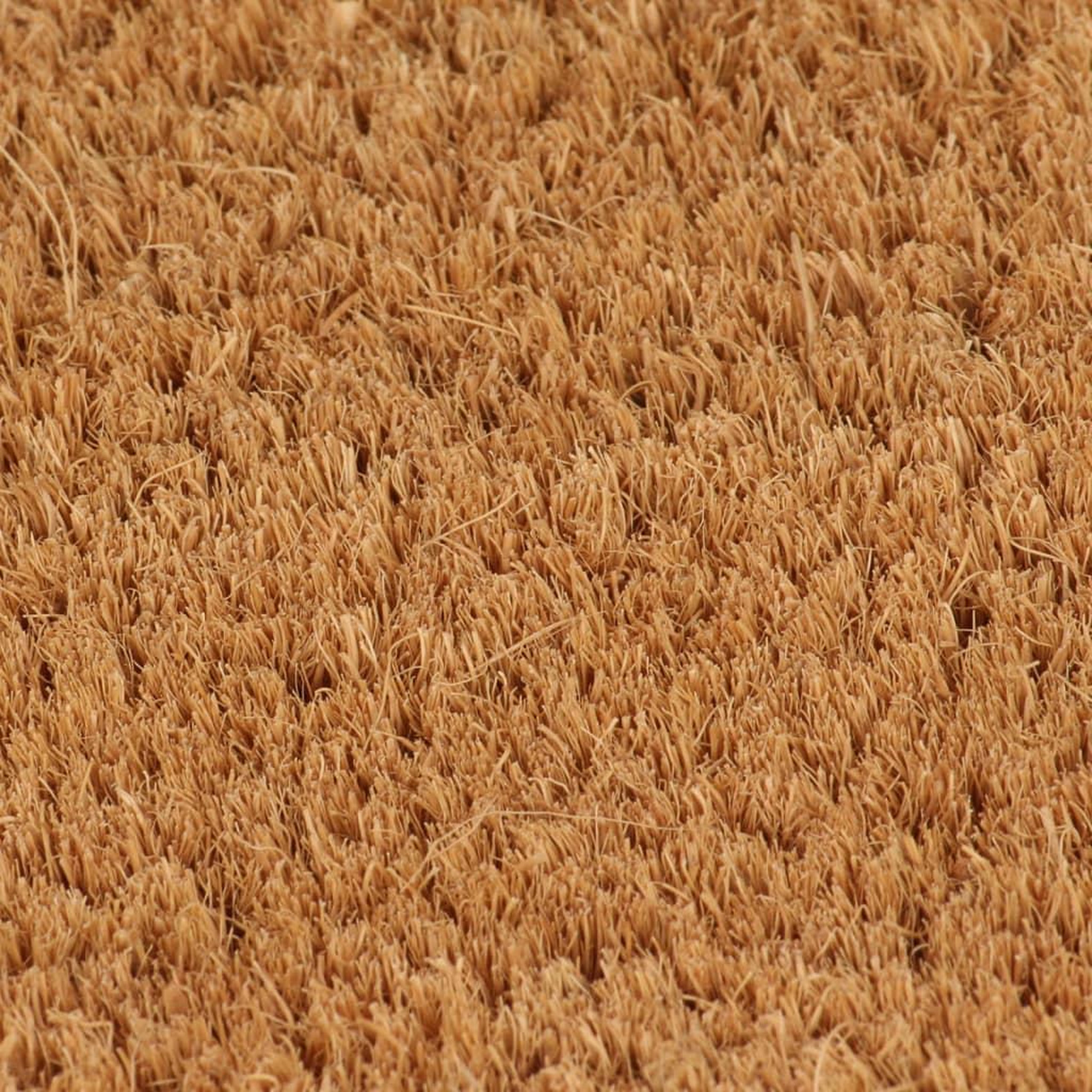 Voir la diapositive 4 : VIDAXL Tapis de porte naturel 60x90 cm fibre de coco touffete