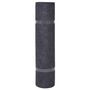 Voir la diapositive 2 : VIDAXL Tapis strie pour exposition 1,2x20 m Anthracite