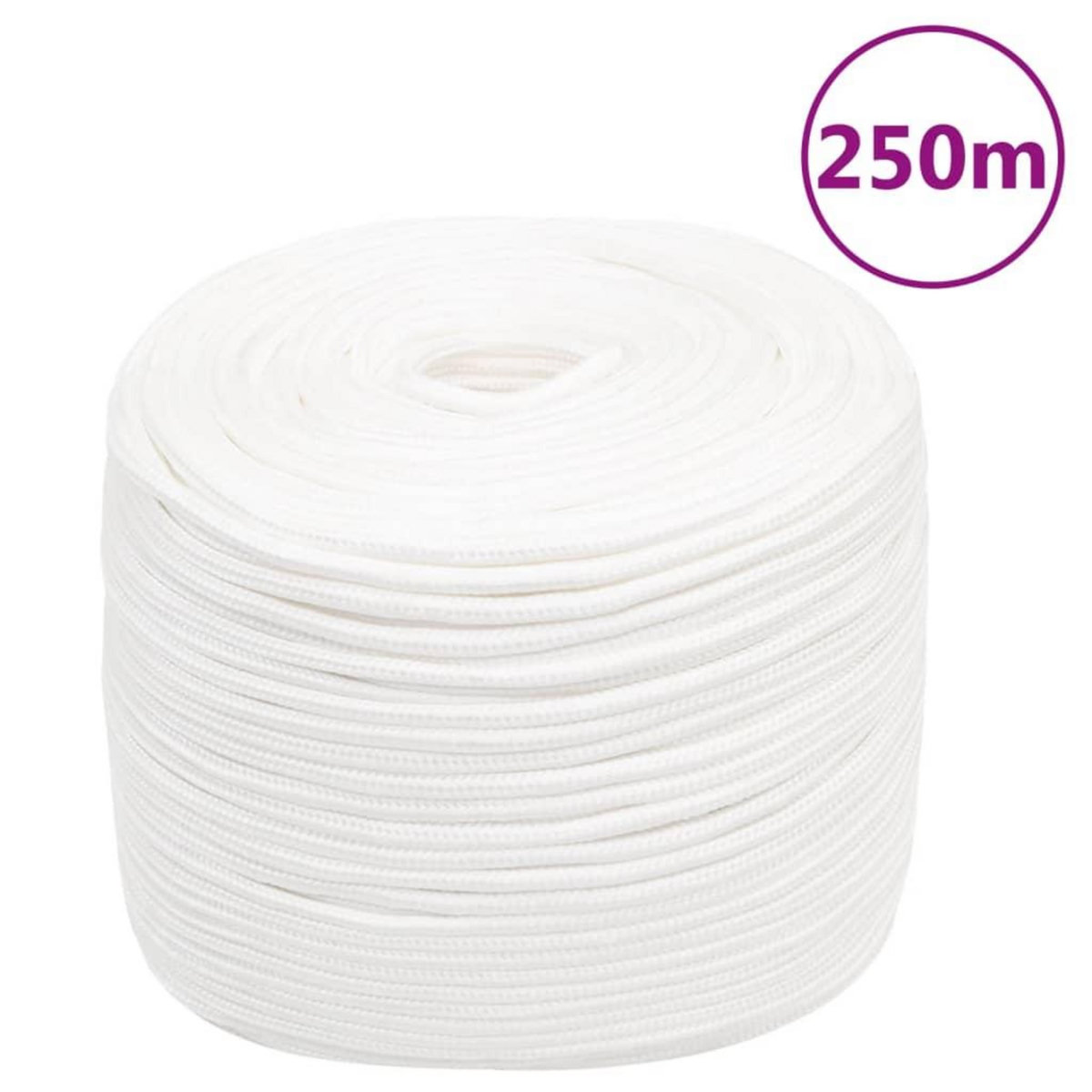 VIDAXL Corde de bateau Blanc complet 6 mm 250 m Polypropylene