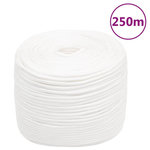 VIDAXL Corde de bateau Blanc complet 6 mm 250 m Polypropylene