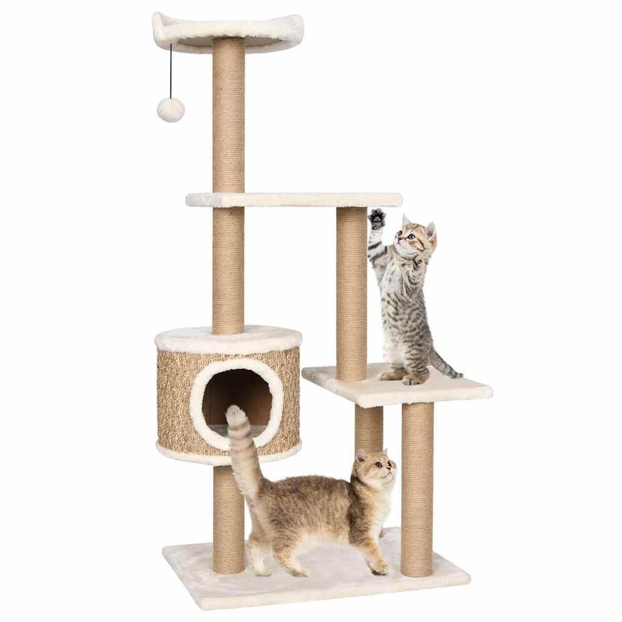 VIDAXL Arbre a chat avec griffoirs 123 cm herbiers marins