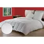 DODO Couette JAZZY 300 g/m²
