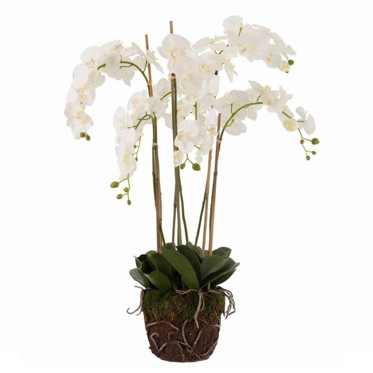 Paris Prix Fleur Artificielle Déco  Orchidée en Terre  98cm Blanc