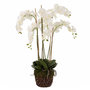 Voir la diapositive 1 : Paris Prix Fleur Artificielle Déco  Orchidée en Terre  98cm Blanc