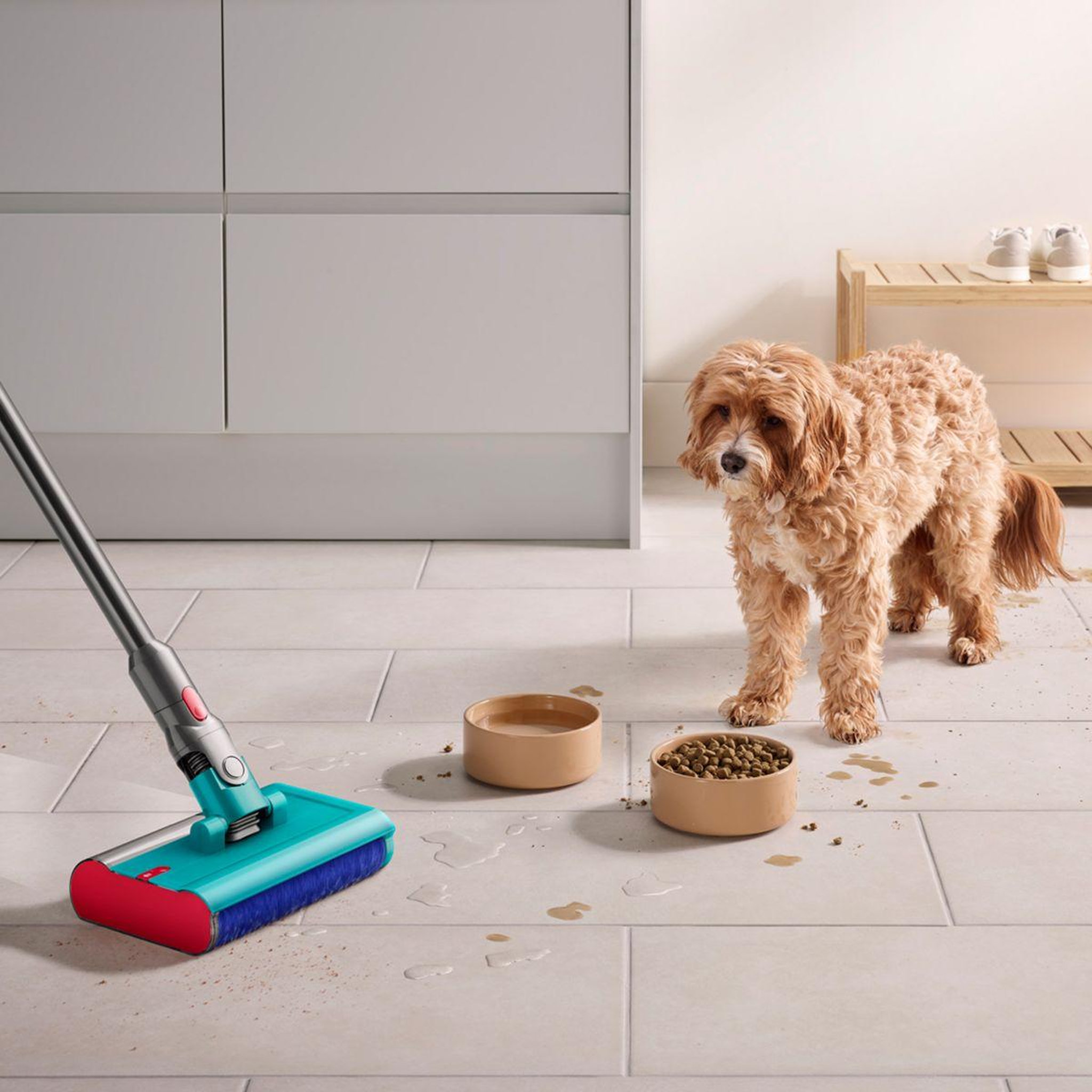 Voir la diapositive 5 : Dyson Détergent nettoyage sols durs washg1 02 probiotique