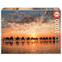 Voir la diapositive 1 : EDUCA Puzzle 1000 pcs Golden sunset on Cable Beach Australie
