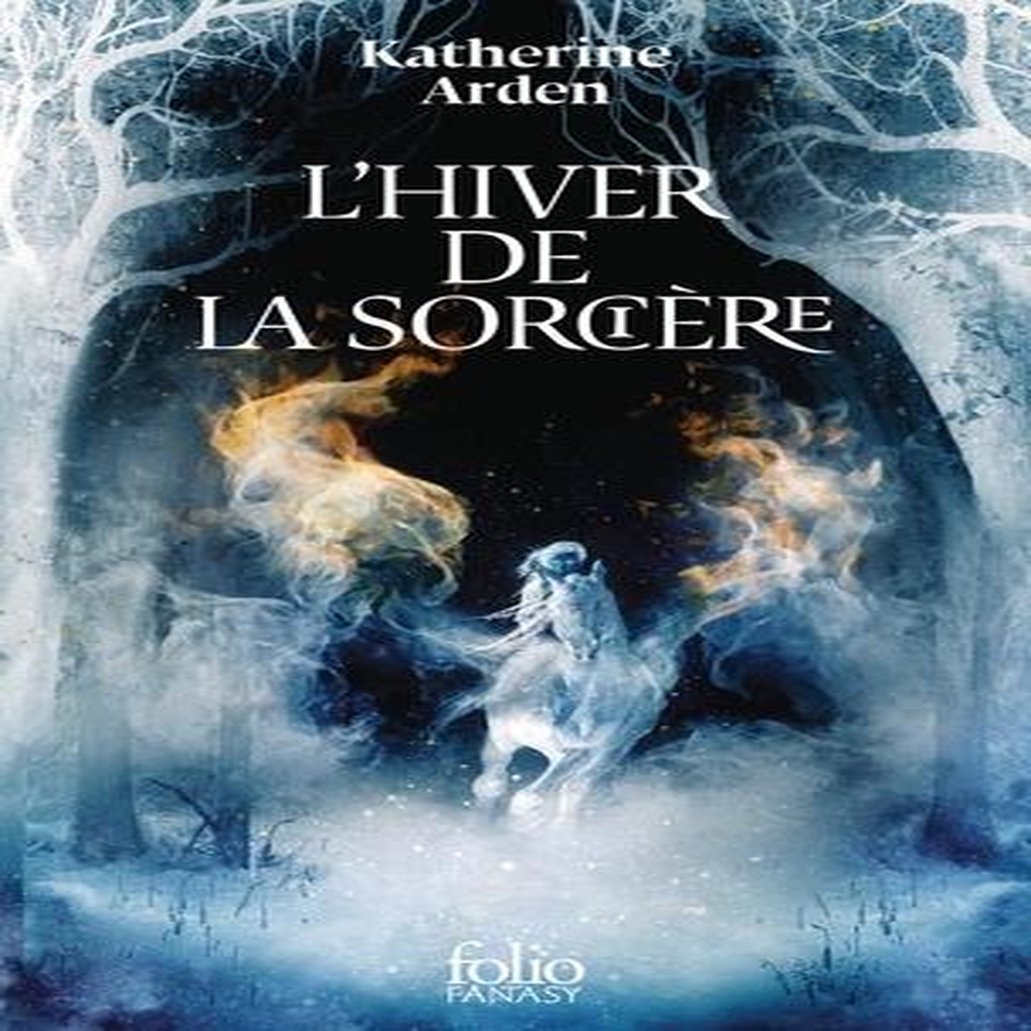 TRILOGIE D'UNE NUIT D'HIVER TOME 3 : L'HIVER DE LA SORCIERE, Arden Katherine