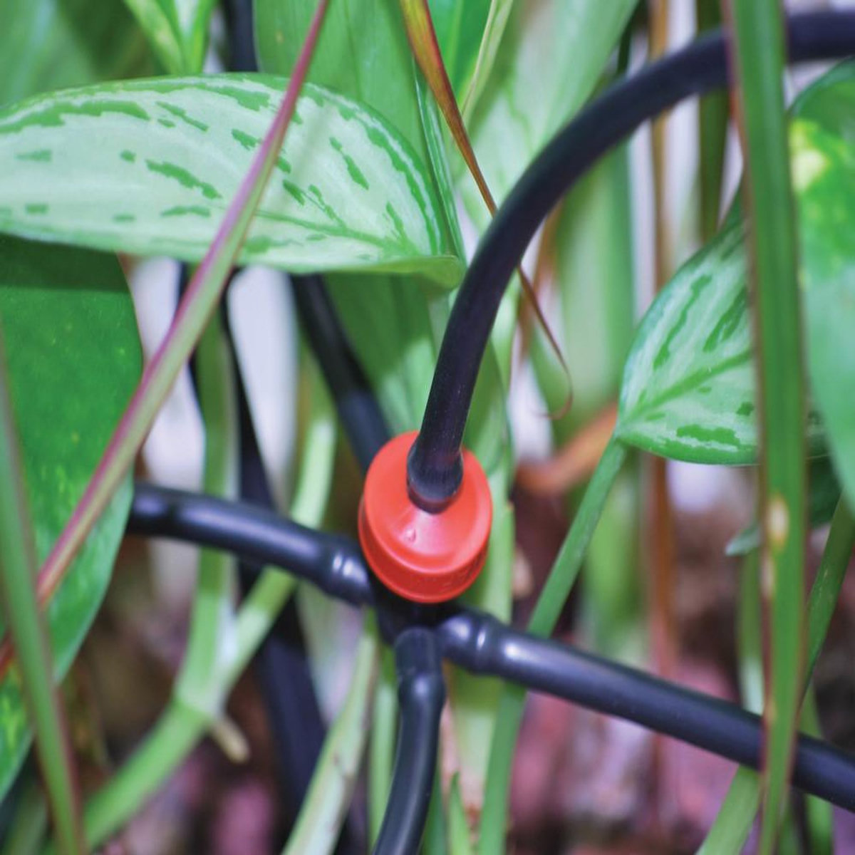 Habitat et Jardin Kit d'irrigation pour serre