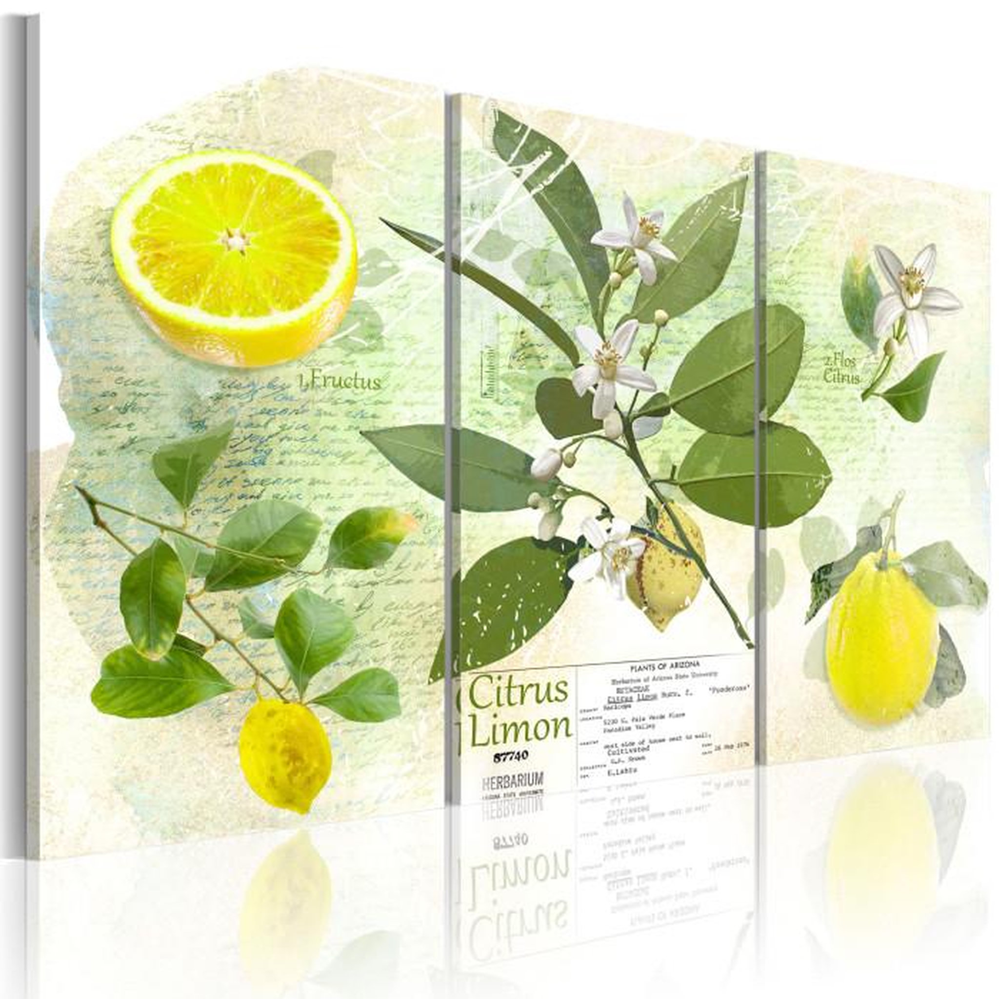 Paris Prix Tableau Imprimé  Fruit : Lemon. Coloris disponibles : Multicolore